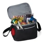 Brinde Bolsa Térmica 10 Litros