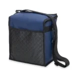 Brinde Bolsa Térmica 11 Litros