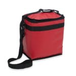Brinde Bolsa Térmica 11 Litros