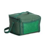 Brinde Bolsa Térmica 8 Litros