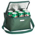 Brinde Bolsa Térmica 8 Litros