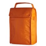Brinde Bolsa Térmica Dobrável