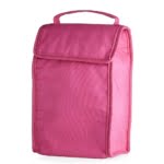 Brinde Bolsa Térmica Dobrável