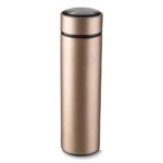 Brinde Garrafa de Inox com Infusor