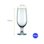 Brinde Taça para Cerveja Floripa 300ml