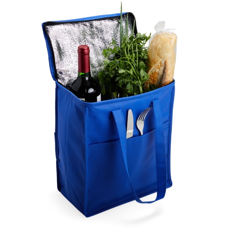 Brinde Bolsa Térmica 9 Litros Personalizada