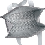 Brinde Bolsa Térmica 5 Litros