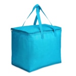 Brinde Bolsa Térmica 40L