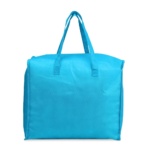 Brinde Bolsa Térmica 40L