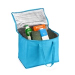 Brinde Bolsa Térmica 40L
