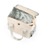 Brinde Bolsa Térmica 6L